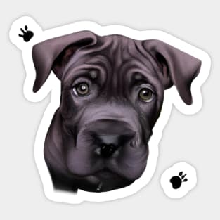 Cute Cane Corso Drawing Sticker